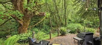 #StayinMyDistrict Majestic Shores Lake Bear Cabin