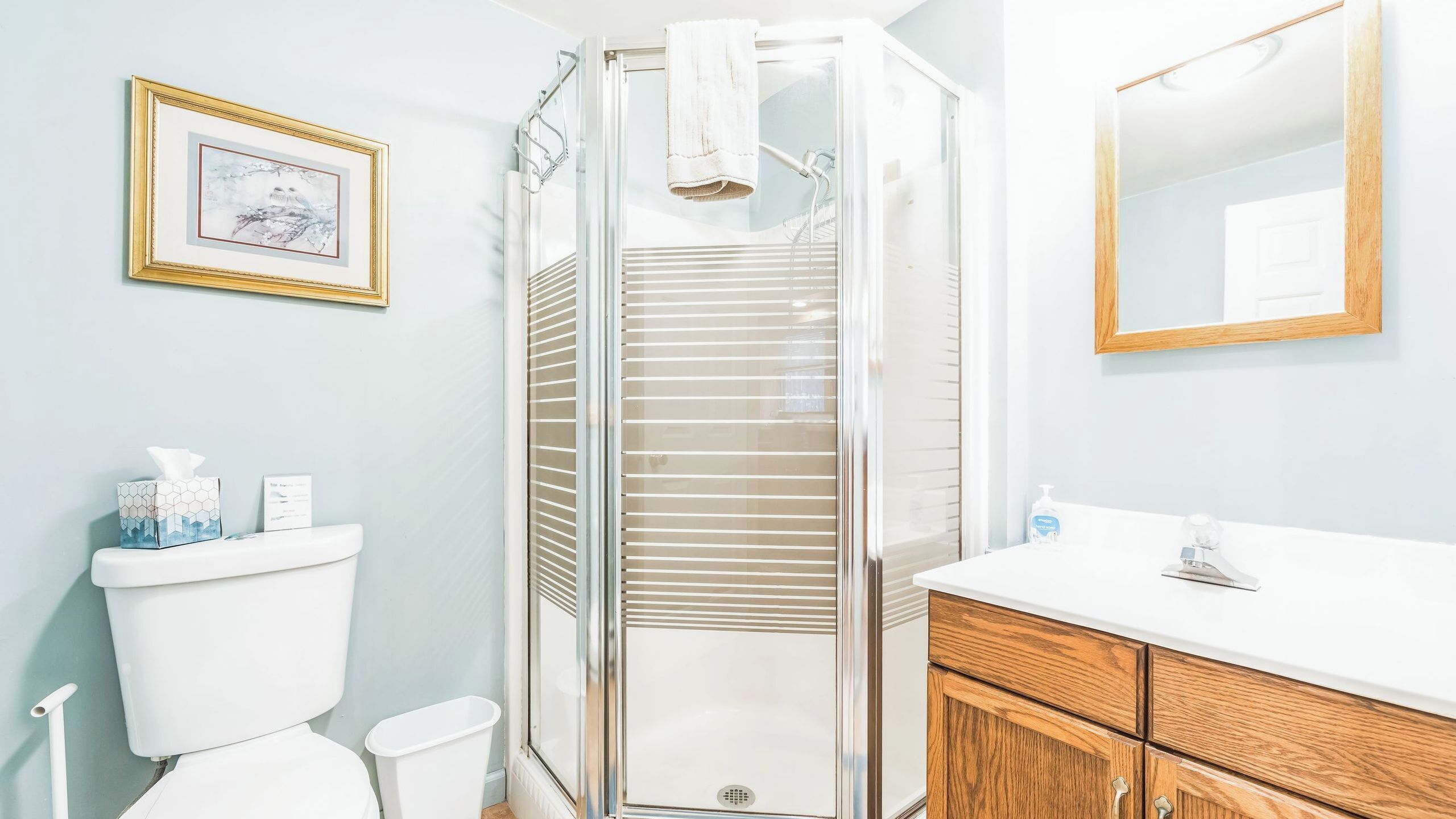 A bathroom with a toilet, bidet, shower, and a mirror.