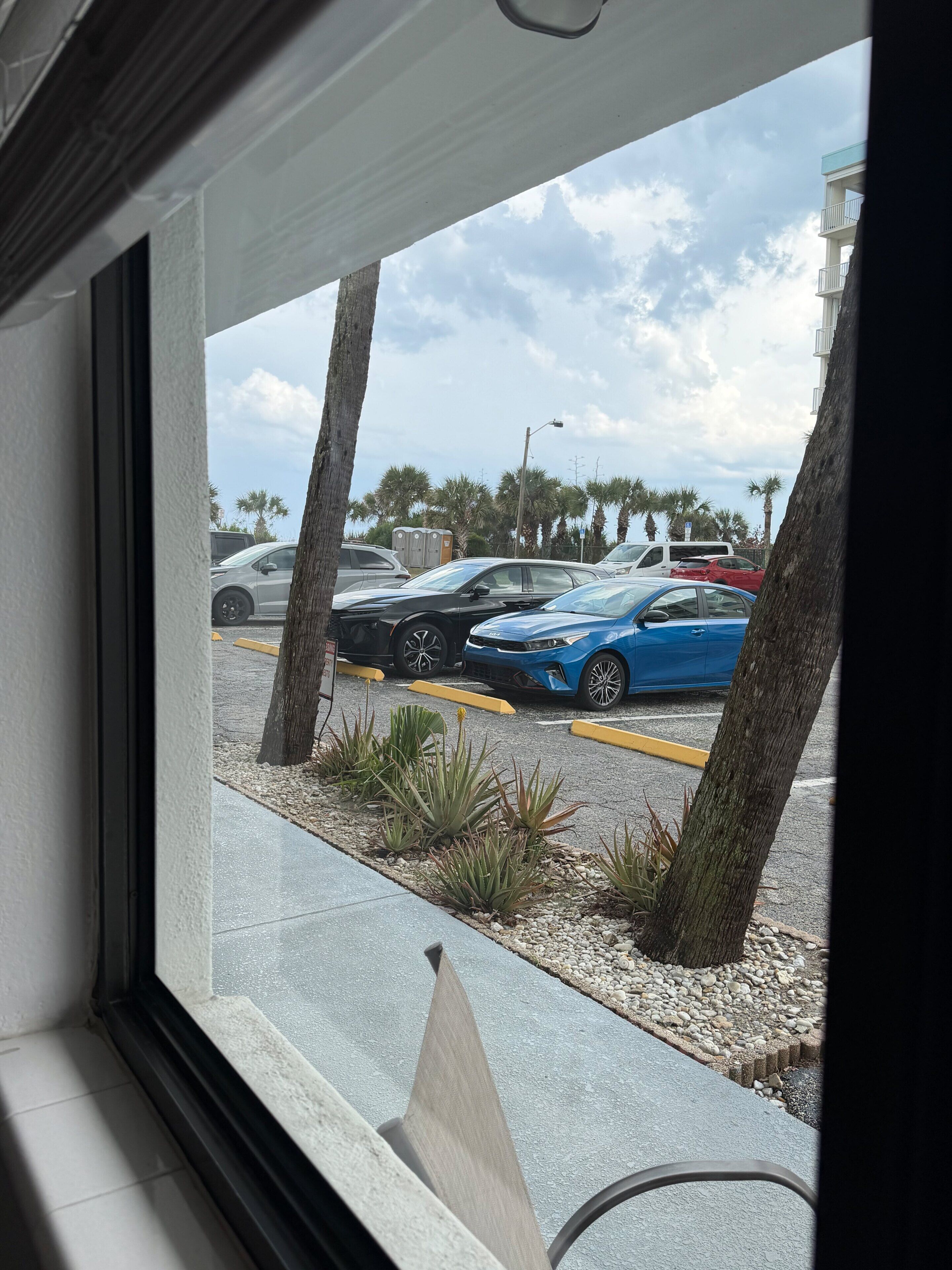 A view from a window of a parking lot with several cars, palm trees, and a building in the background.