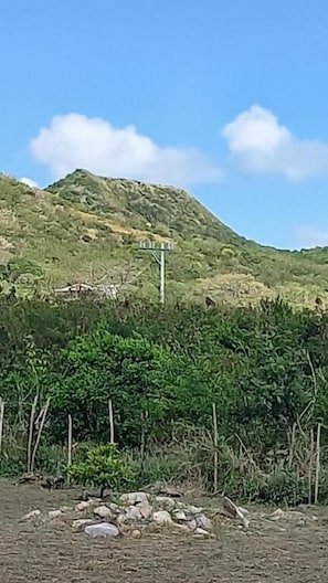 公寓, 陽台, 花園景觀 | 其他設施