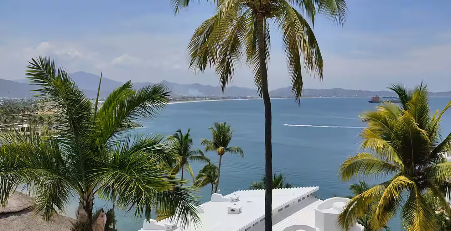 A coastal view with palm trees, a clear sky, and a distant ship.
