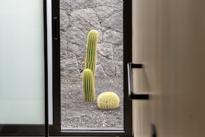 A cactus in a doorway with a textured wall background. - Casa Luna by BLVE Homes (Yaiza)