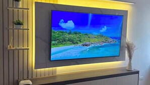 Seinälle asennettu litteänäyttöinen televisio, jossa on sisäänrakennettu hylly ja pieni kasvi.