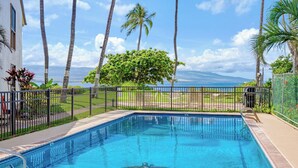 A rectangular swimming pool with a turtle, surrounded by a black fence, palm trees, and a view of the ocean. - Ocean-view 2BR Maui condo with pool, A/C, beach (Wailuku)