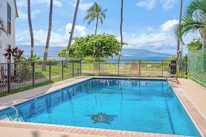 A rectangular swimming pool with a turtle, surrounded by a black fence, palm trees, and a view of the ocean.