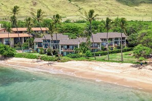Un hôtel situé en bord de mer, composé de plusieurs bâtiments à étages, avec une plage de sable et des palmiers.