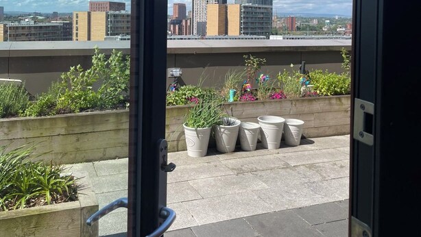 Une vue depuis une fenêtre donnant sur un paysage urbain, avec un immeuble de grande hauteur, des plantes en pot et un jardinière en béton.