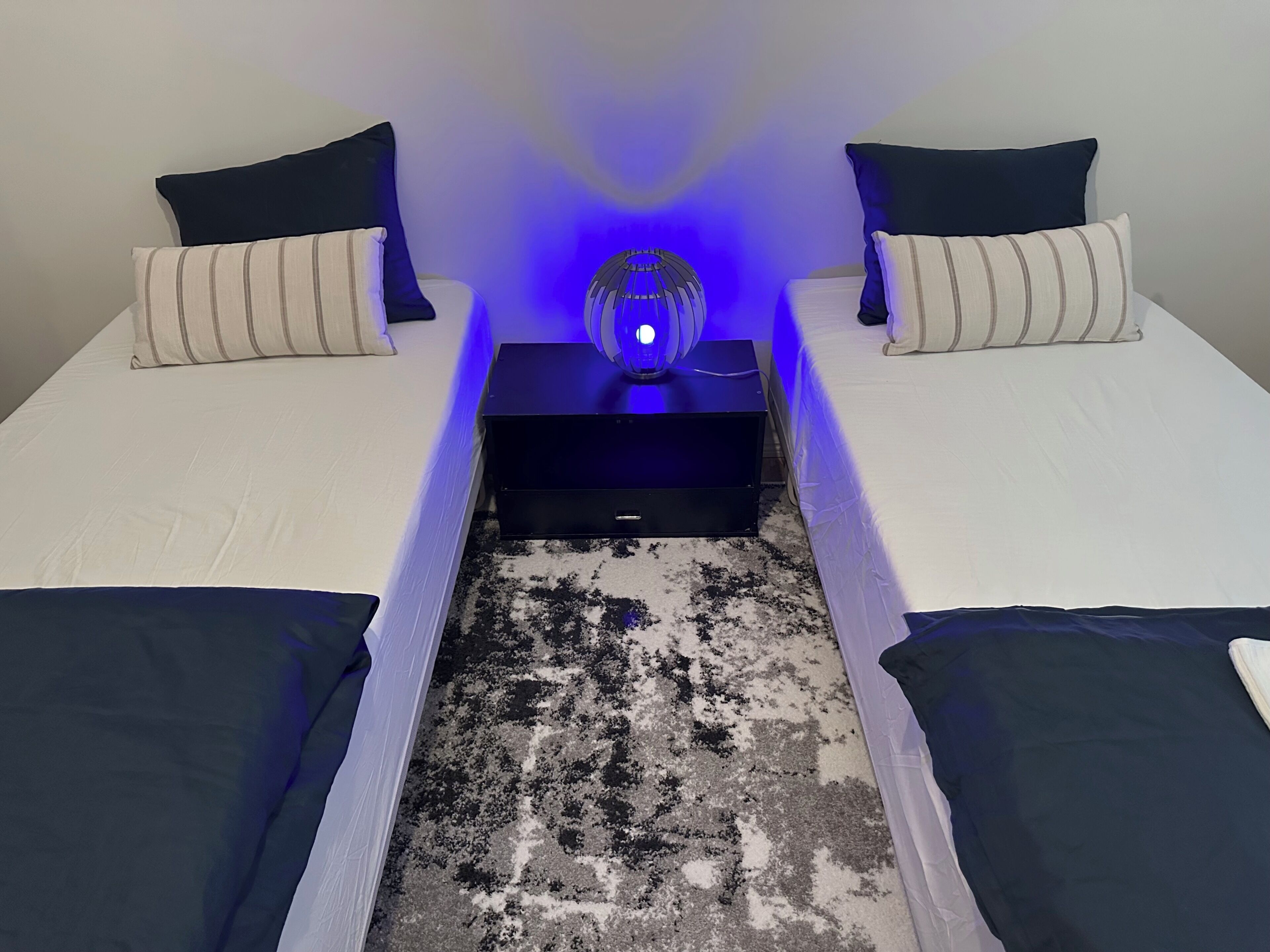 A room with two beds, a nightstand with a lamp, and a patterned rug.