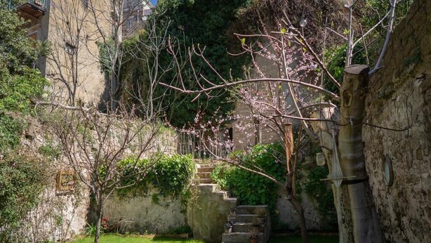 A stone staircase leading up to a building, surrounded by greenery and flowering trees. - Casa Vayu-Rooms and Garden-Rione Sanità (Naples)