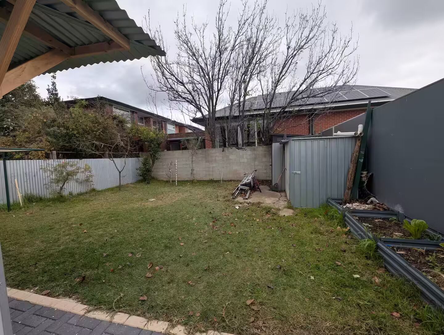 A backyard with a grassy area, a concrete wall, a metal shed, and a tree.