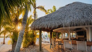 Property grounds - Luxor Pyramid – Tropical Paradise in Fort Myers (Fort Myers)