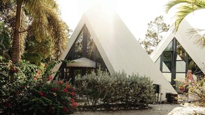 Un edificio moderno con arquitectura triangular, rodeado de abundante follaje y suelo arenoso.