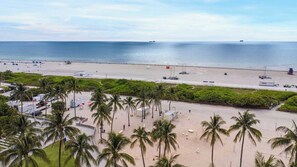 Una playa con palmeras, una zona arenosa y vista al océano.