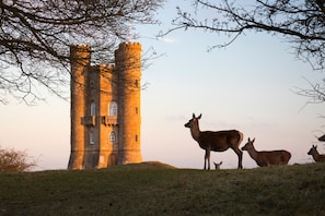 Ein historischer Turm mit einer kleinen Spitze und Bogenfenstern, umgeben von einer Wiese mit Hirschen.