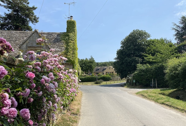 Eine ländliche Straße, gesäumt von Häusern mit Steinmauern und blühenden Pflanzen.