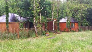 Ein umzäunter Garten mit zwei Hollschränken, einem Holzzaun und einer Rasenfläche.