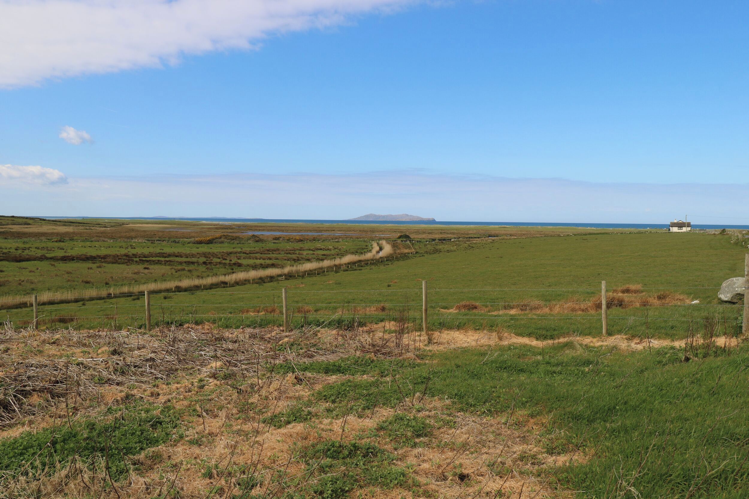 Ländliche Landschaft mit einem Feldweg, grünen Wiesen und einem entfernten Berg.