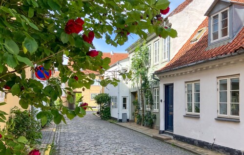 Cozy home in Faaborg with WiFi