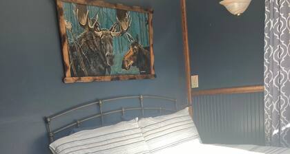 Private 2-bedroom cabin on 75 acres in quaint Royalston for a relaxing stay