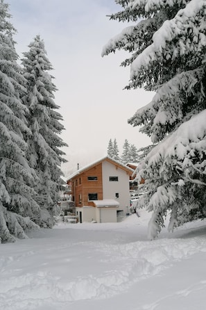 A snow-covered lodge with a wooden exterior, surrounded by snow-laden trees. - CANOLS#32 Appartement/Fewo 4-Bettwohnung (2-Zimmerwohnung) by Interhome (Valbella)