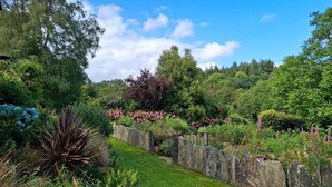 A garden with a stone wall, various plants, and trees under a clear sky. - The swallow's nest - LANGONNET (LANGONNET)