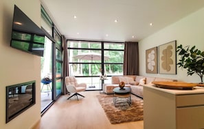 Smart-TV, Kamin
