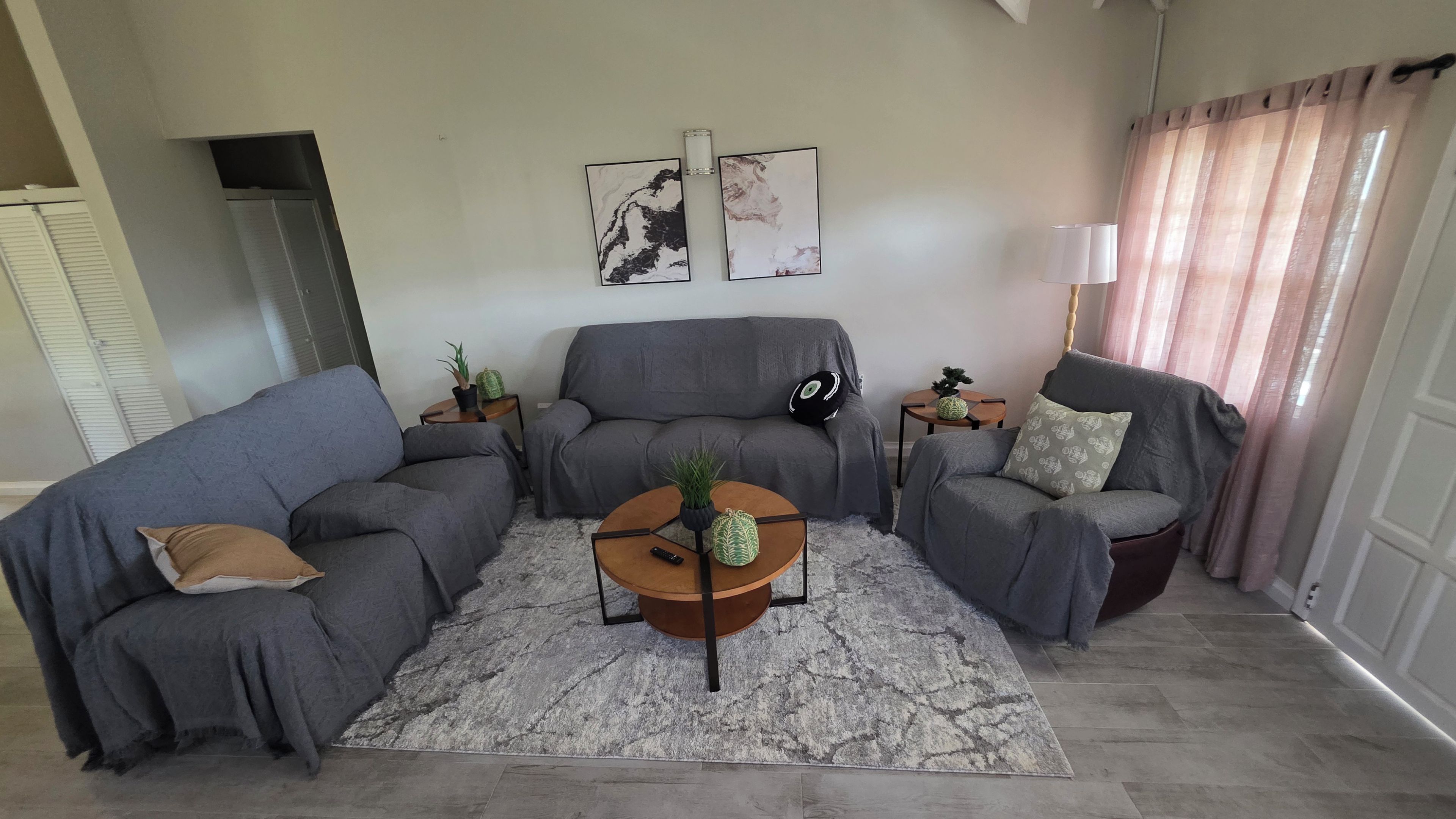 A living room with a grey sofa set, a coffee table, and a rug. There are two side tables with plants and a lamp.