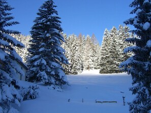 A snow-covered landscape with dense evergreen trees and a clear blue sky. - La Schmetta 11 Appartement/Fewo 5 Bettwohnung IH/ED by Interhome (Lenzerheide)