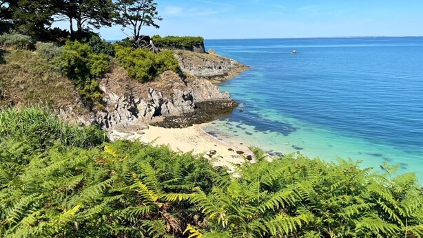 A coastal landscape with a sandy beach, dense green vegetation, and a clear blue sea. - Géraldine - LE PALAIS - Gîte (LE PALAIS)