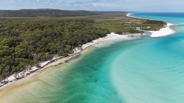 An aerial view of a coastal area with a beach, dense forest, and clear turquoise waters.
