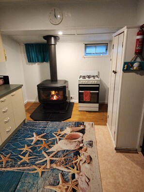 A room with a wood-burning stove, a gas stove, a clock, and a nautical-themed rug.