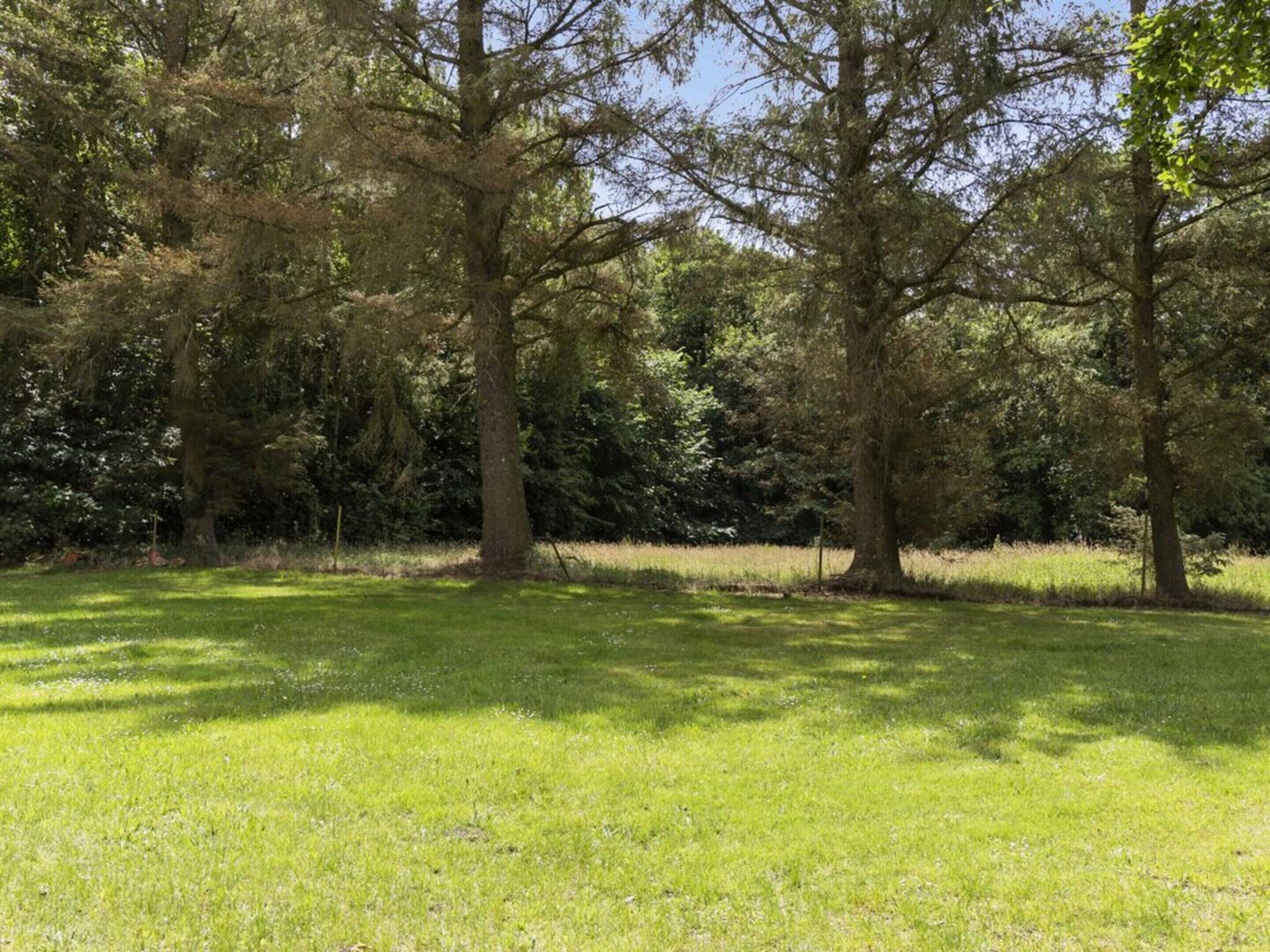 A grassy field with trees and a clear sky.