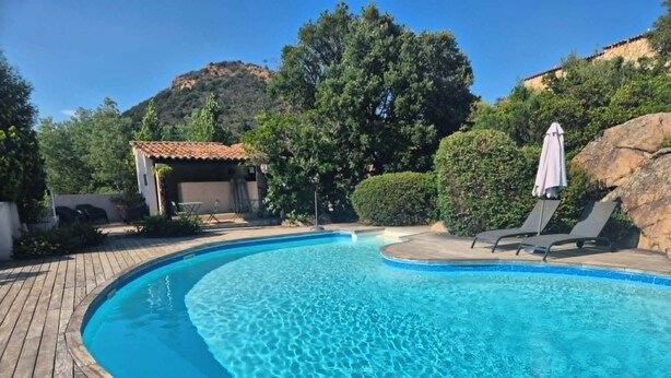 A swimming pool with a wooden deck, lounge chairs, and a small building in the background.