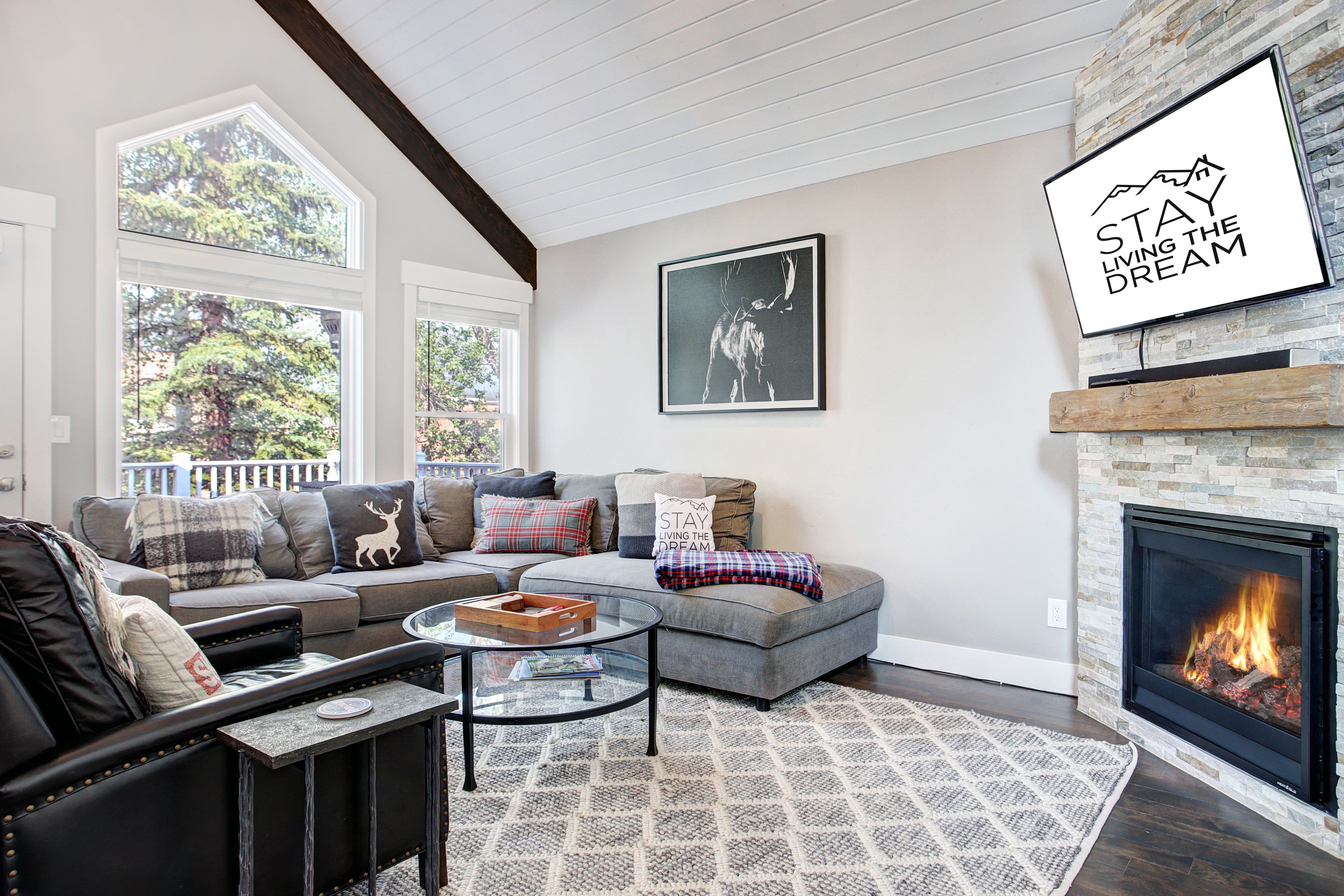 Smart TV, fireplace, video games, books
