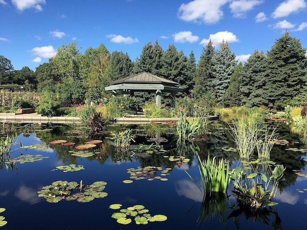 A tranquil pond with lily pads, surrounded by lush greenery and a gazebo. - Bright & Modern Denver Home, Quick Drive to Downtown (Denver)