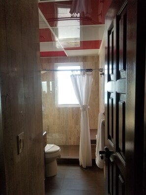 Kylpyhuone, jossa on wc, suihkuverho ja ikkuna.