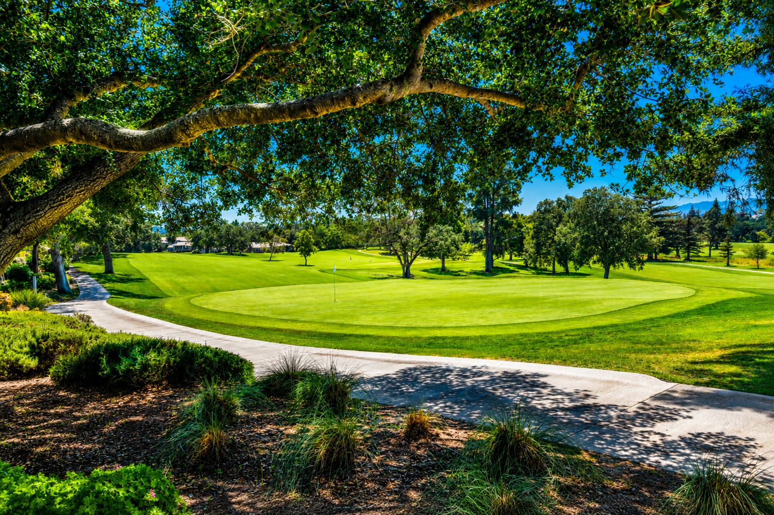 A golf course with a well-maintained green, a winding path, and mature trees providing shade.