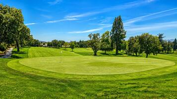 Camp de golf amb verd impecable, arbres i un cel blau clar.