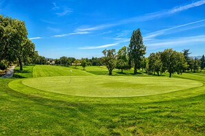 Un campo de golf con un césped bien cuidado, árboles y un cielo azul despejado.
