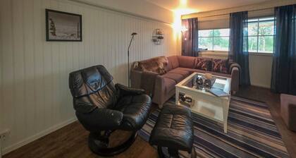 Awesome apartment in Golsfjellet with WiFi