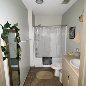 Bathroom - Bright 2-bedroom apartment with AC in marvelous Nashville (Nashville)