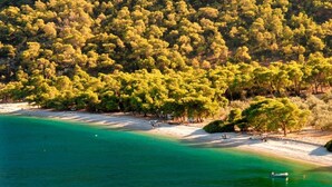 Eine Küstenlandschaft mit Strand, Bäumen und einem Boot.