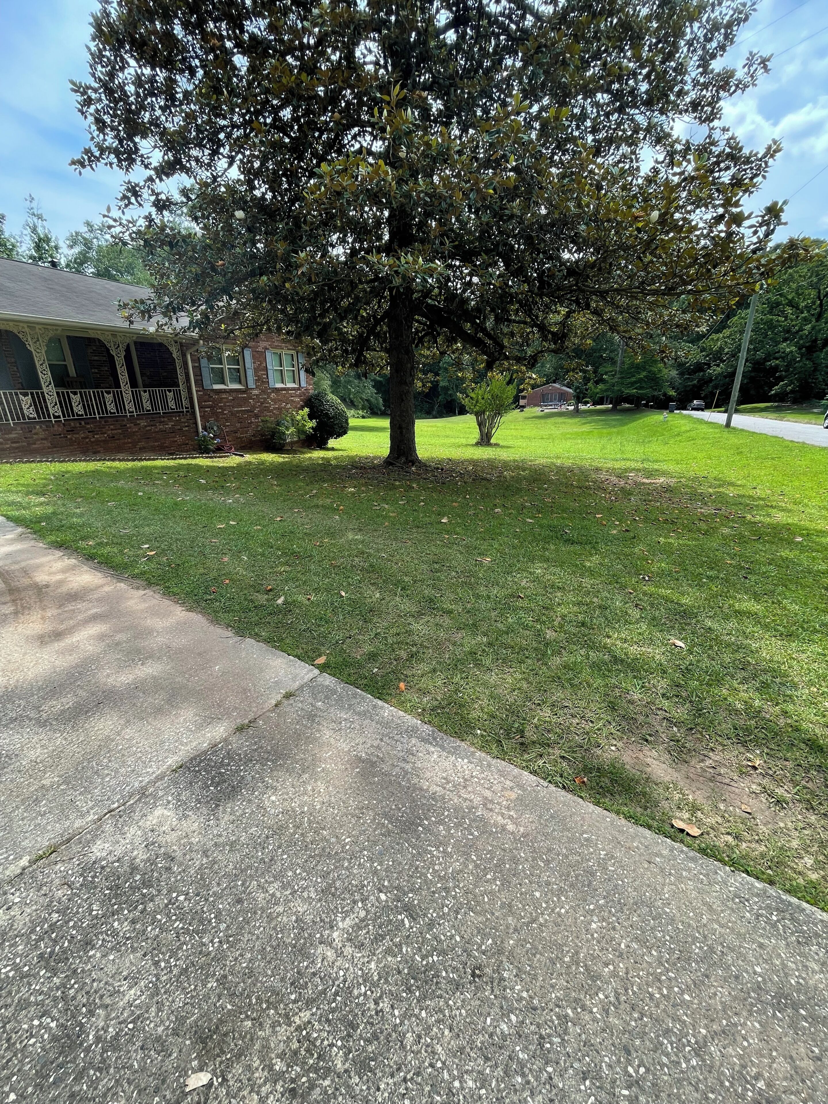 A residential area with a large tree, a brick house with a porch, and a well-maintained lawn.