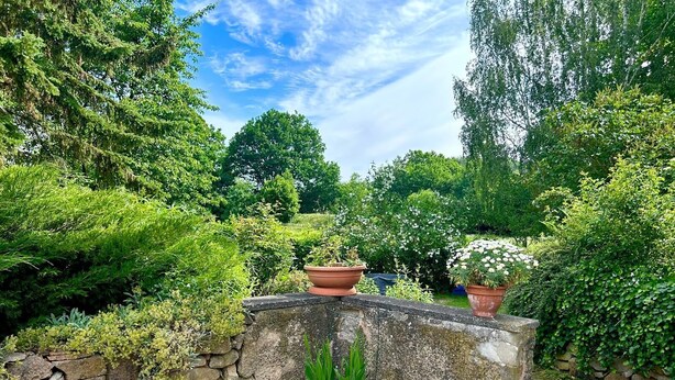 A stone wall with potted plants, a small tree, and a cobblestone path. - Bella's Eden 1 romantic vacation in the countryside directly on the Mulde river (Grimma)