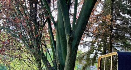 Bella's Eden 1 Romatikurlaub im Grünen direkt an der Mulde