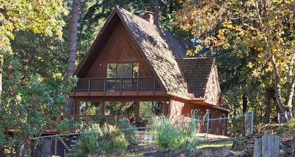 Tranquil 3 story Lodge in private forest central to UofO Eugene, OSU Corvallis