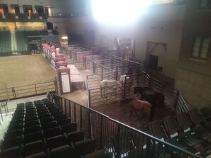 An indoor arena with seating and horse stalls.