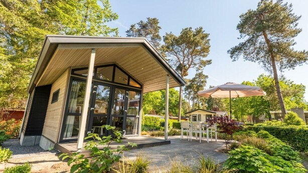Un bâtiment moderne doté d’un patio abrité, entouré d’une végétation luxuriante et d’arbres.
