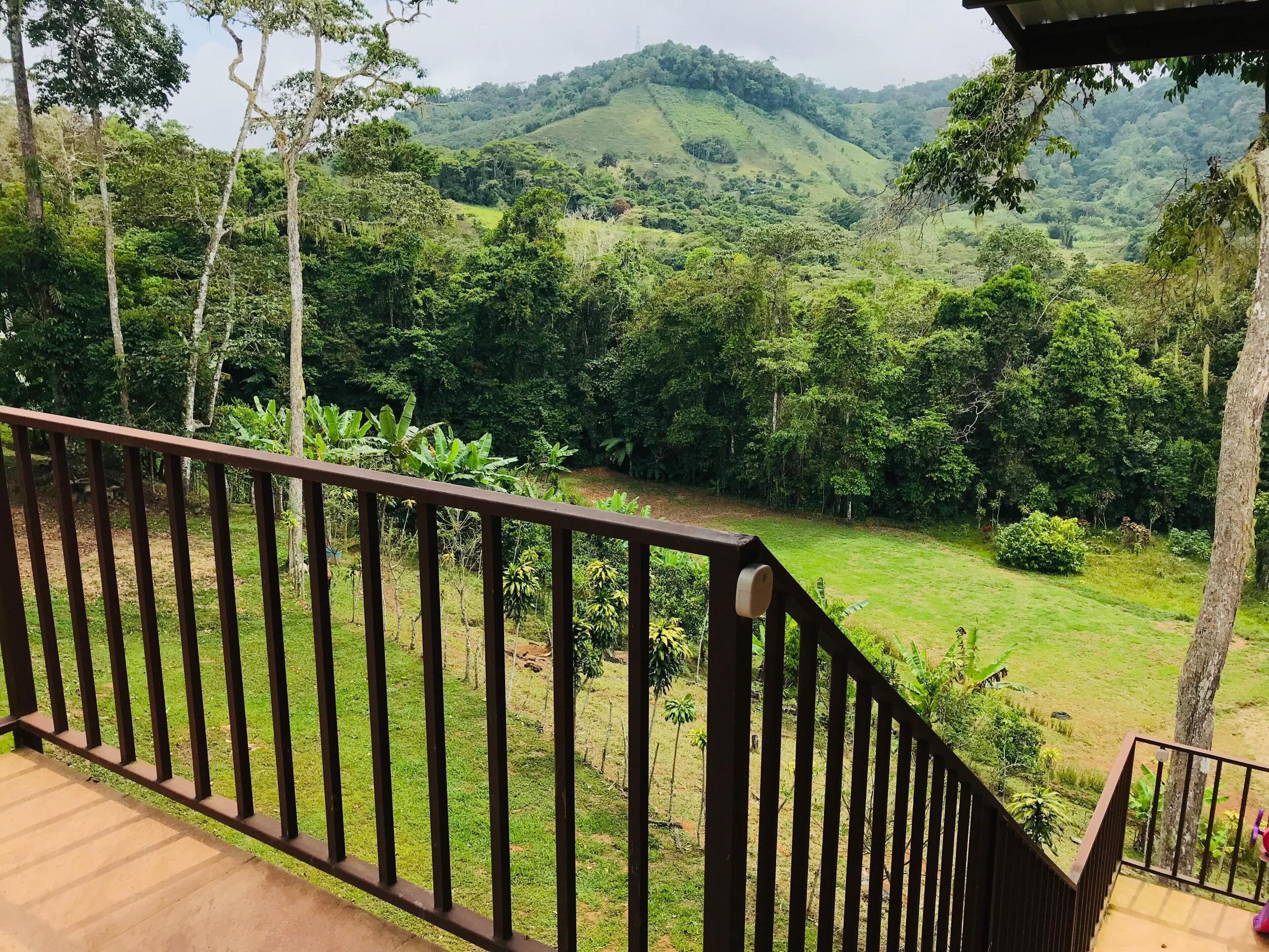 Área da propriedade