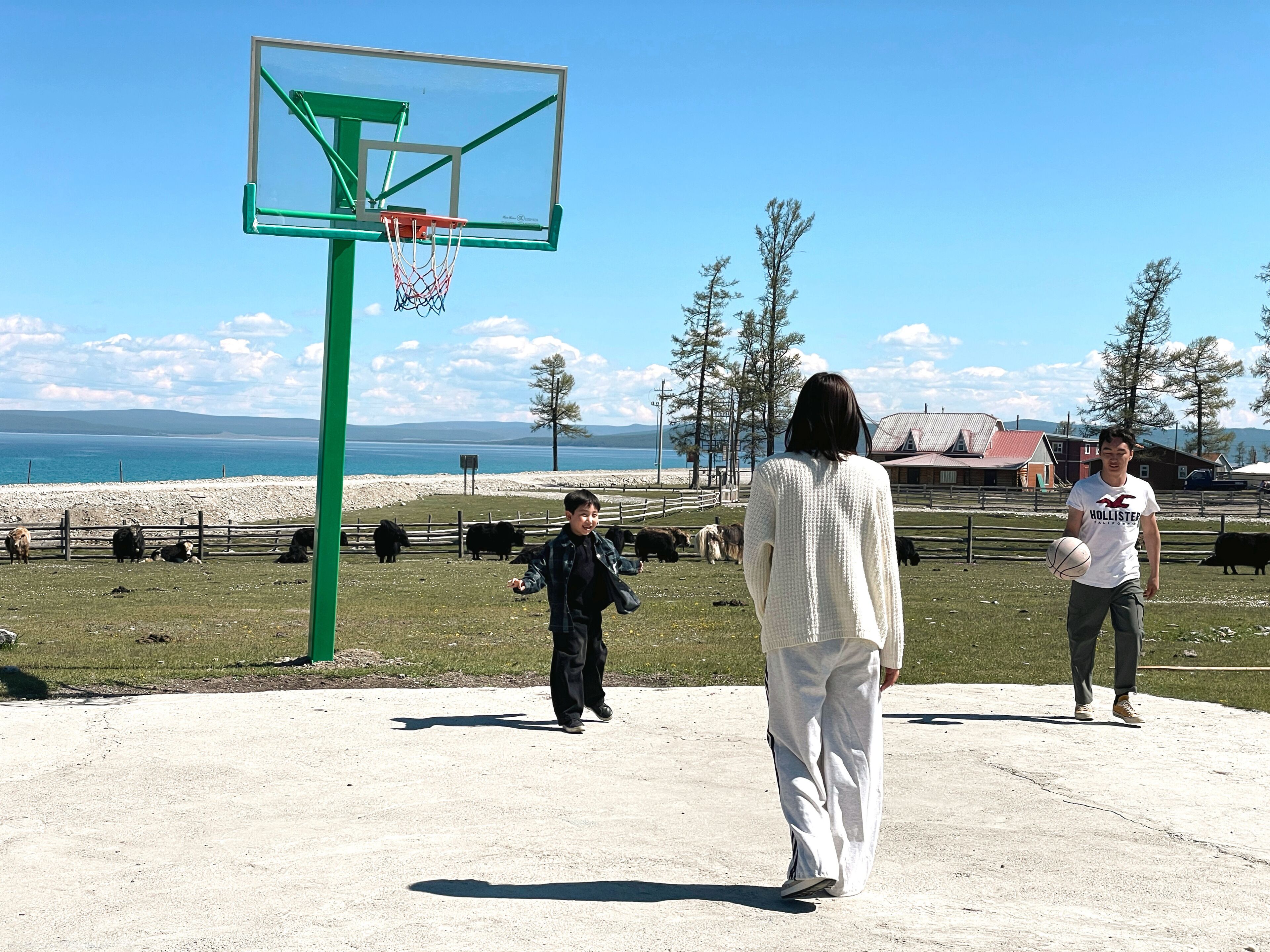 Basketballbane